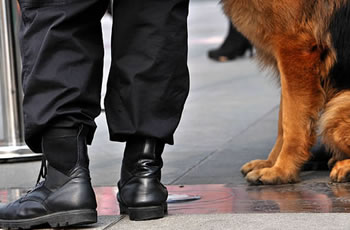 agent de securité cynophile